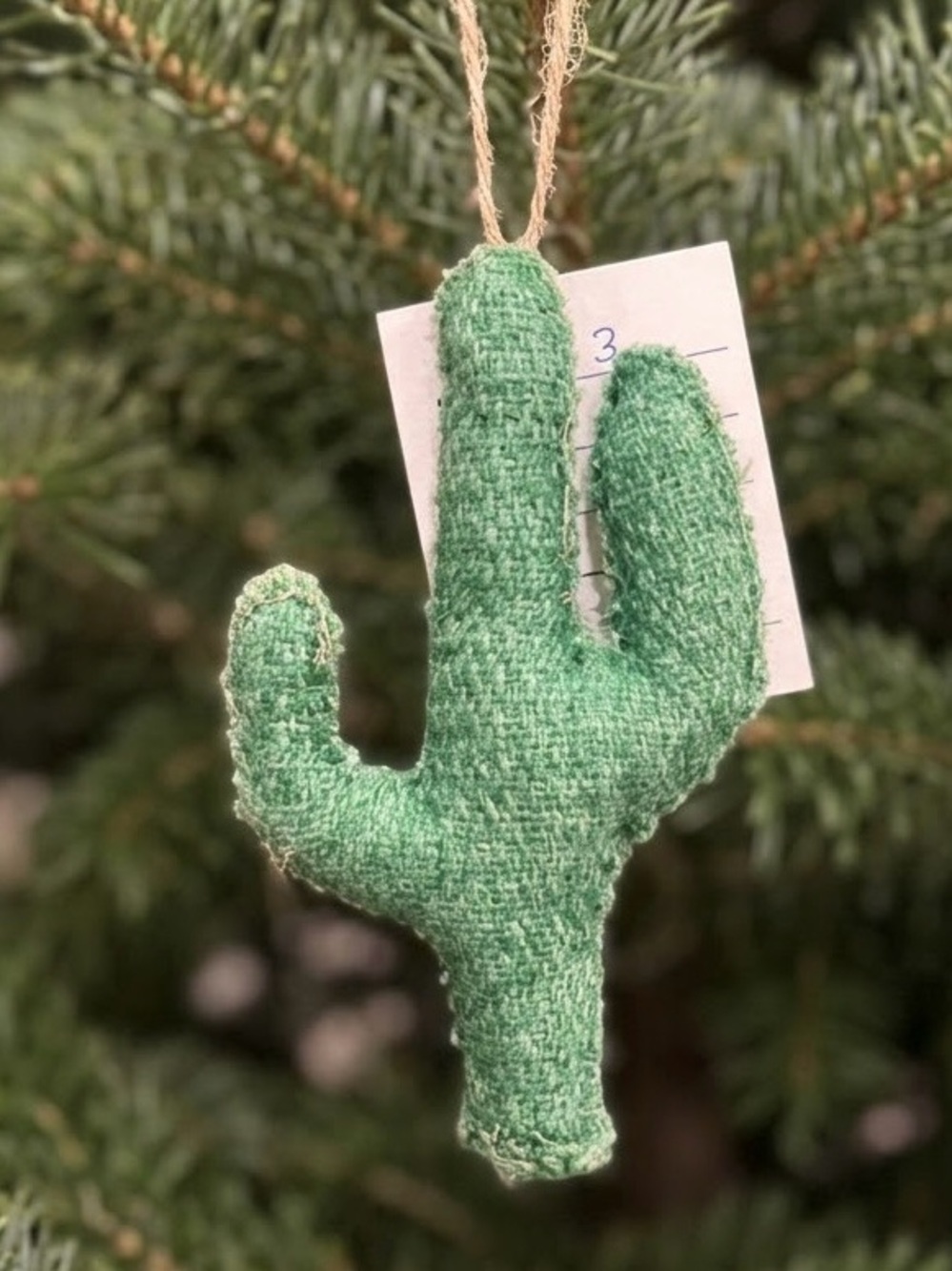 Saguaro Cactus Christmas Ornament with Tag and Twine